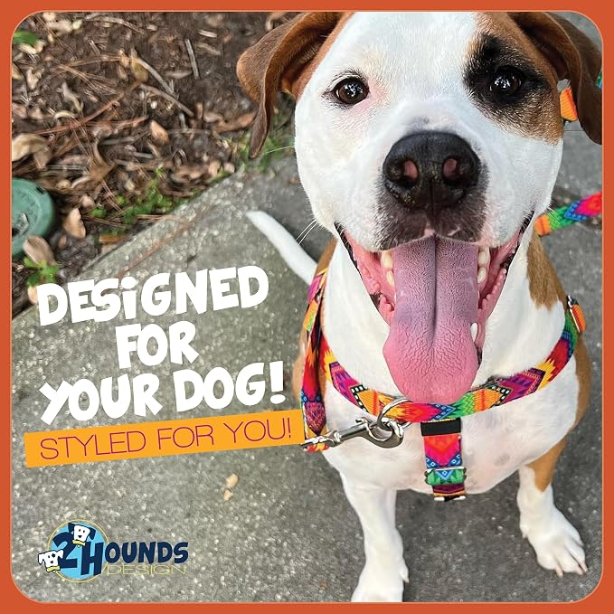 2 Hounds Design Freedom No Pull Dog Harness and Leash, 1" XL, Red | Promotes Easy Walking & Comfortable Control, Adjustable Harness and Leash Set for Extra Large Sized Dogs, Made in USA