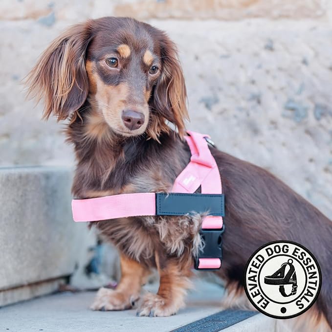 Dog Friendly Co. Dog Harness for Small Dogs (Pink, Small) | One Click Buckle, Chafe Resistant Webbing, Adjustable Neck & Chest, and Heavy Duty D-Ring, Sturdy Comfortable and Easy to Use