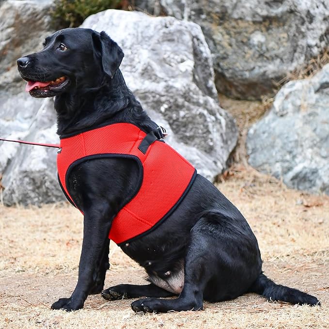 PUPPIA International Puppia Harness Soft B Vest RED Large