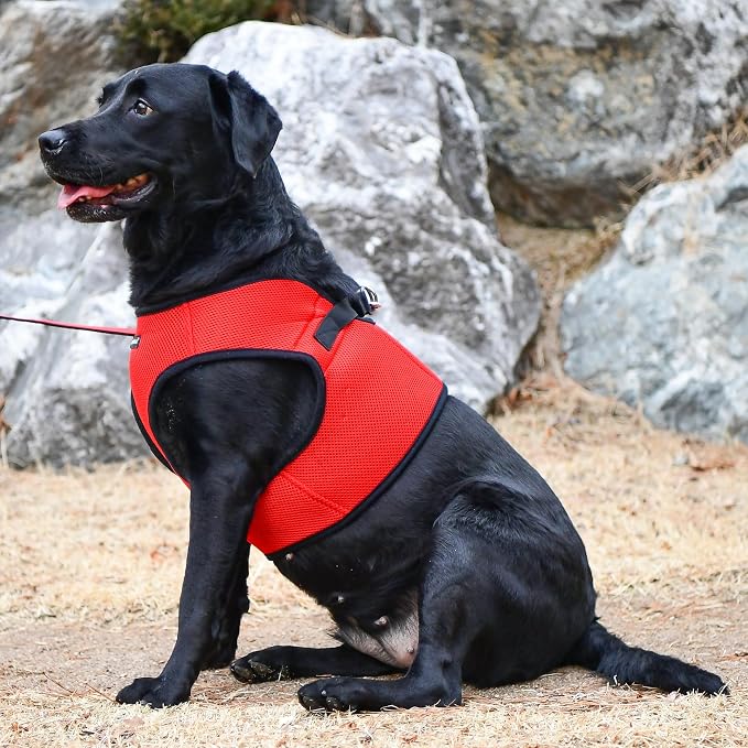 PUPPIA International Puppia Harness Soft B Vest RED XSmall