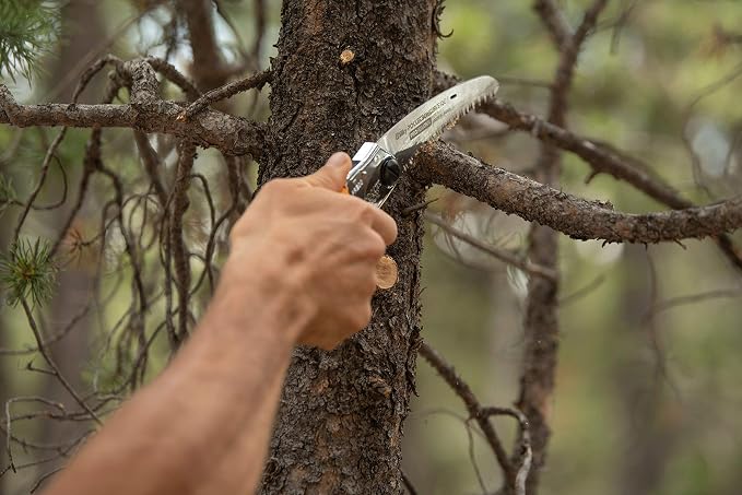 Silky Professional Series PocketBoy Curved Blade Folding Saw 170mm (726-17)