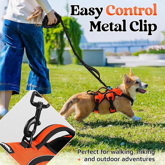 rabbitgoo Escape Proof Dog Harness for Small, No Pull with Lift Handle | No Escape, Full Soft Padded, Reflective Adjustable Vest, Leash Clip for Walking Hiking Training, Orange, Small