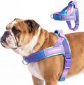Spark Paws No Pull Front Clip Dog Harness - Easy On, Padded and Lightweight | Two Clips, On in Seconds, Chest Bearing, Australian Style, No Throat Pressure, for Small Medium and Large Breeds