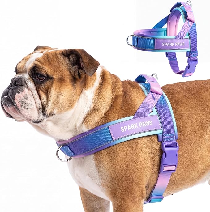 Spark Paws No Pull Front Clip Dog Harness - Easy On, Padded and Lightweight | Two Clips, On in Seconds, Chest Bearing, Australian Style, No Throat Pressure, for Small Medium and Large Breeds