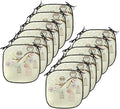 Lunarable Owls Chair Cushion Pads Set 12, Winter Floral Background Blossoms Owls Out of Their Cages Birdcage Freedom, Anti-Slip Seat Padding for Kitchen & Patio, 16"x16", Pale Green Brown White