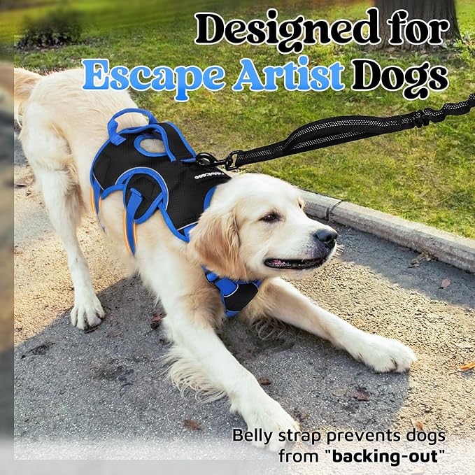 rabbitgoo Escape Proof Dog Harness for Medium, No Pull with Lift Handle | No Escape, Full Soft Padded, Reflective Adjustable Vest, Leash Clip for Walking Hiking Training, Blue & Black, Medium