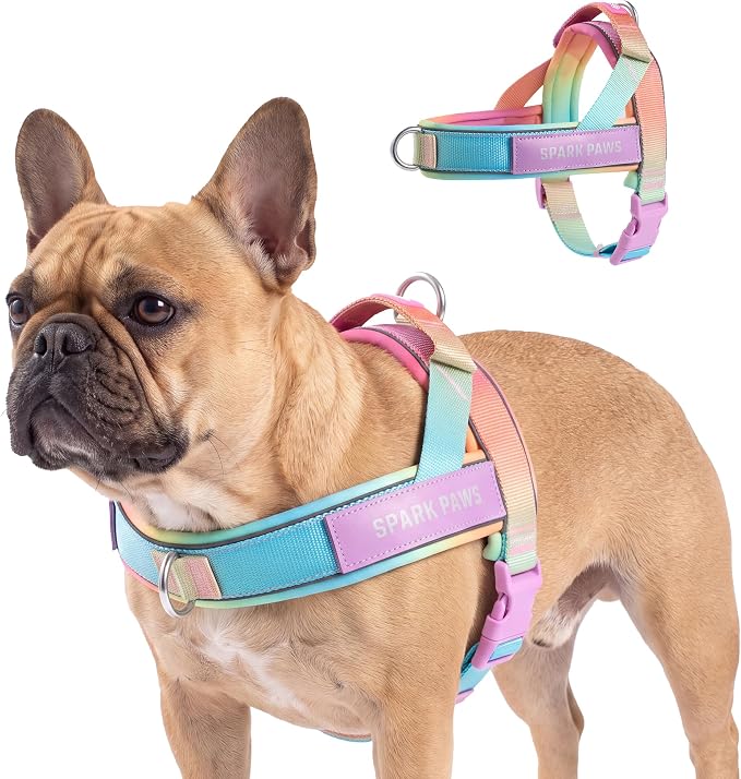 Spark Paws No Pull Front Clip Dog Harness - Easy On, Padded and Lightweight | Two Clips, On in Seconds, Chest Bearing, Australian Style, No Throat Pressure, for Small Medium and Large Breeds