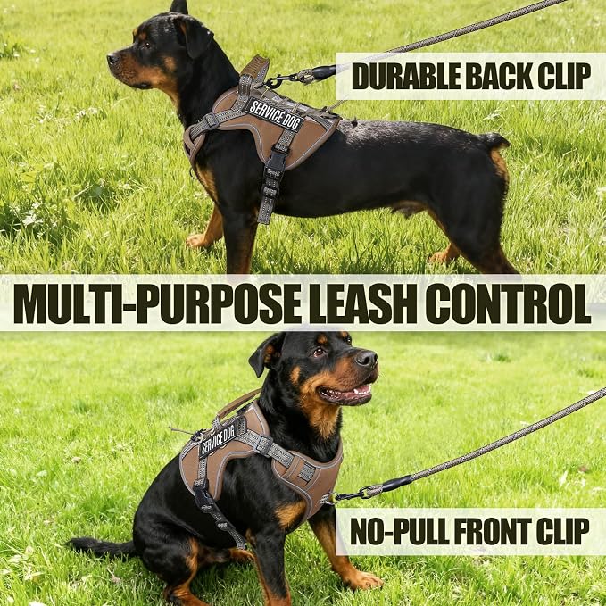 3-in-1 Dog Vest Harness Leash Set for Daily,Service,Training Animal Medium