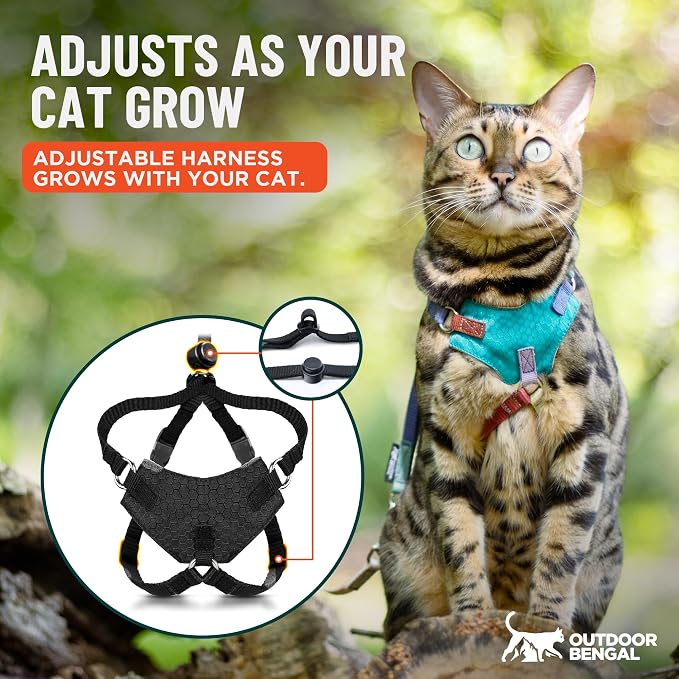 Houdini™ Escape Proof Cat Harness and Leash (Black, XL) | Adjustable walking vest with 6ft lead, breathable mesh, secure snug fit, lightweight for travel, hikes and daily adventures