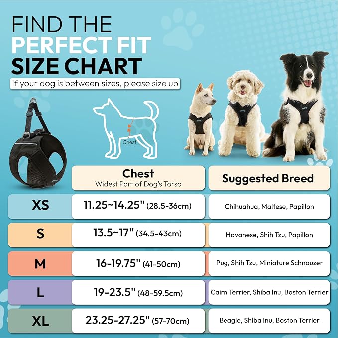 Gooby Escape Free Easy Fit X Step-in Dog Harness, Vegas Black, Small | Patented escape-free, tightens on back-out; Choke-free X-frame + V-neck; Quick-release buckle; Reflective trim