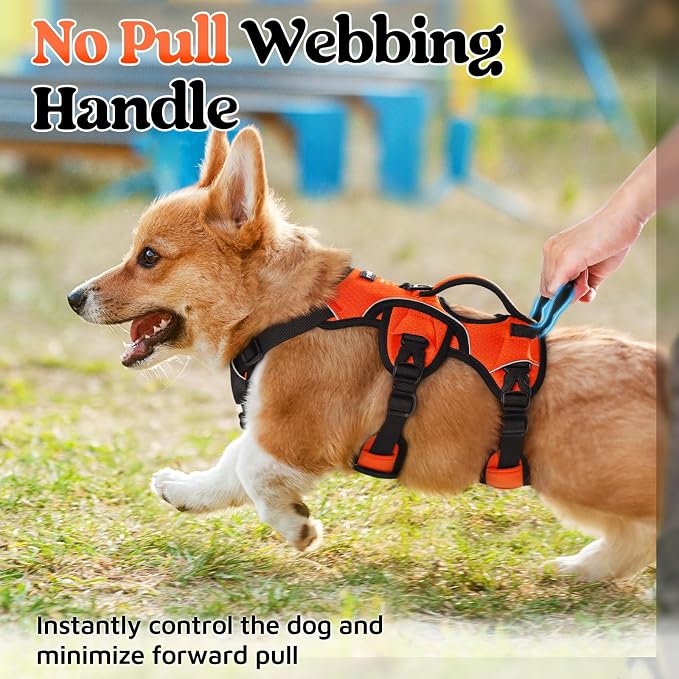rabbitgoo Escape Proof Dog Harness for Small, No Pull with Lift Handle | No Escape, Full Soft Padded, Reflective Adjustable Vest, Leash Clip for Walking Hiking Training, Orange, Small