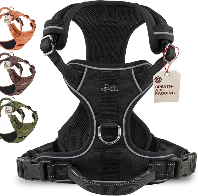 Freudentier No Pull Dog Harness with Handle, Front & Back Clips, Reflective | Soft breathable mesh padding - perfect fit with no chafing or slipping - comfortable dog vest for small, medium & large dogs