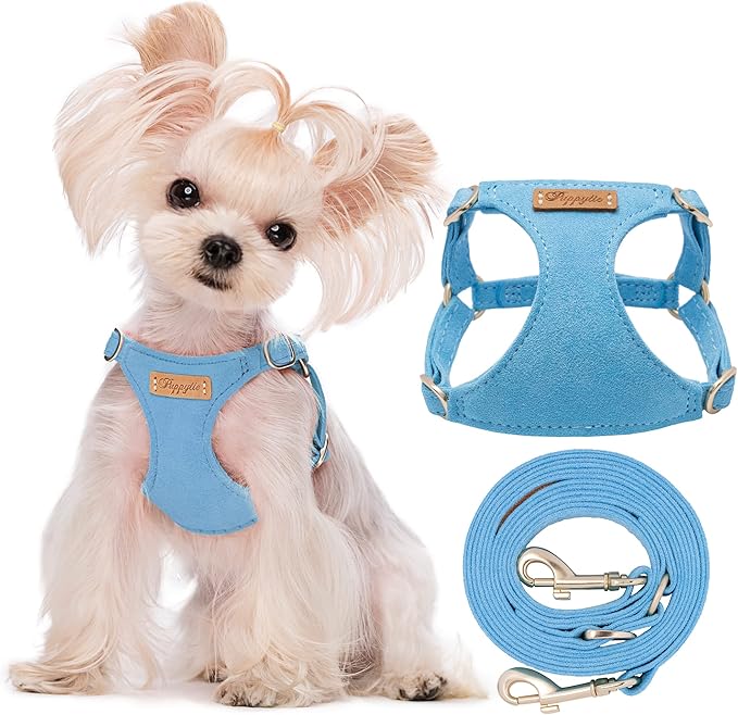 Puppytie XS Dog Harness and Leash Set, Ocean Blue, XS (4.5-11 lbs) | Extra Small Dog Harness, Puppy Harness and Leash, Soft Lightweight and Adjustable, Xsmall Dog Harness for Daily Walks
