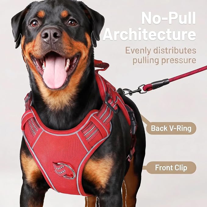 3-in-1 Dog Vest Harness Leash Set for Daily,Service,Training Animal Small