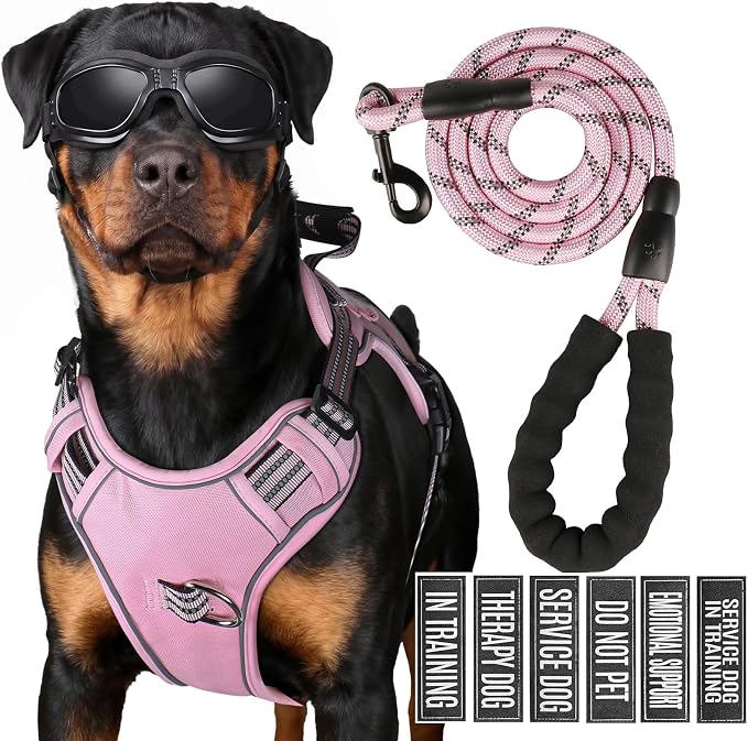 3-in-1 Dog Vest Harness Leash Set for Daily,Service,Training Animal Medium