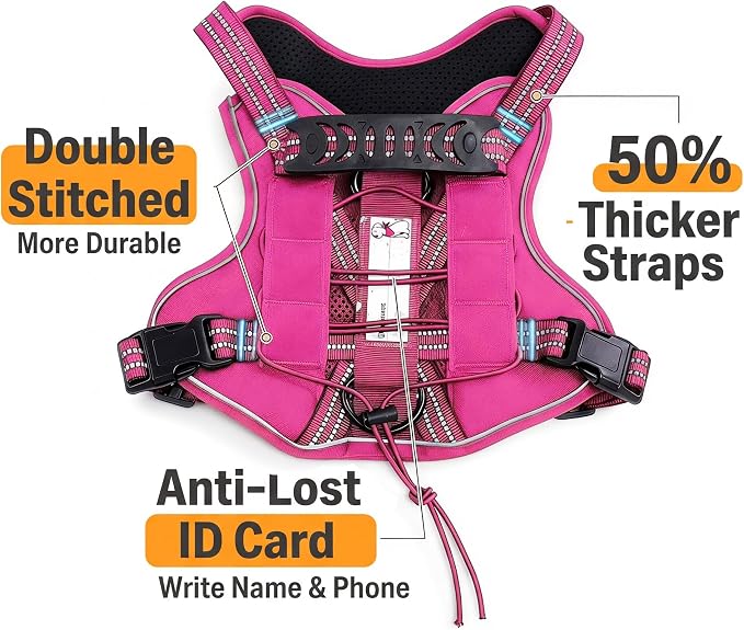 3-in-1 Dog Vest Harness Leash Set for Daily,Service,Training Animal Large