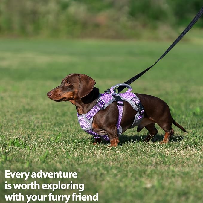 Escape Proof Dog Harness, Dachshund Harness, Reflective Dog Harness with Handle, Durable,Adjustable Vest for Small Medium Large Dogs Walking, Training, and Running Gear (Lavender Purple,S)