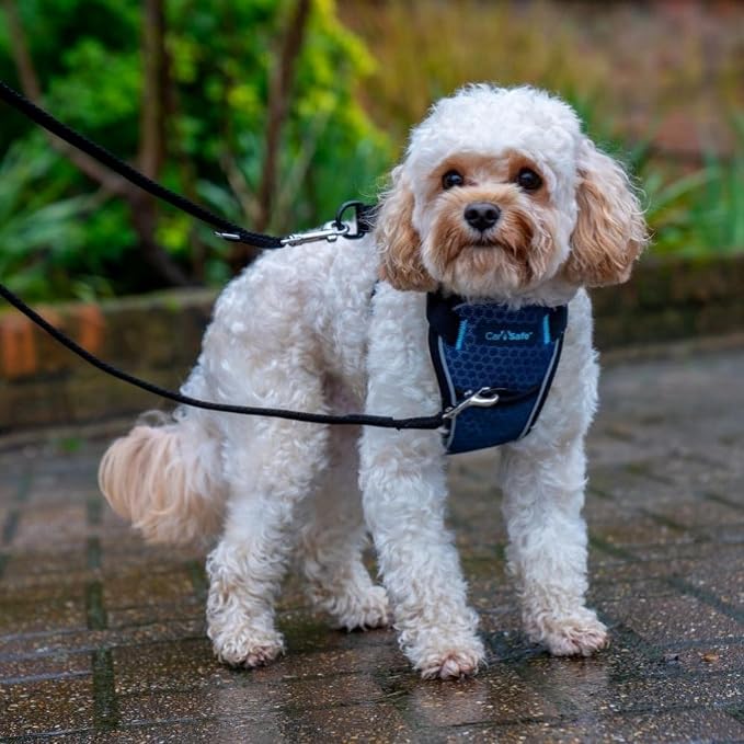 Carsafe Crash Tested Dog Harness Blue X Small | Crash Tested to 32Kg/70lbs, Safely Secure Dog in the Car, Comfortable and Padded Design, for Toy, Small, Medium & Large Dogs