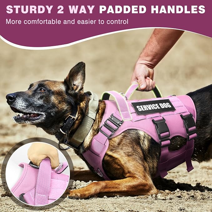 Service Dog Vest Harness for Medium Dog, Tactical Working MOLLE Vest with 10 Pet Patches, No Pull Heavy Duty Harness for Training Walking