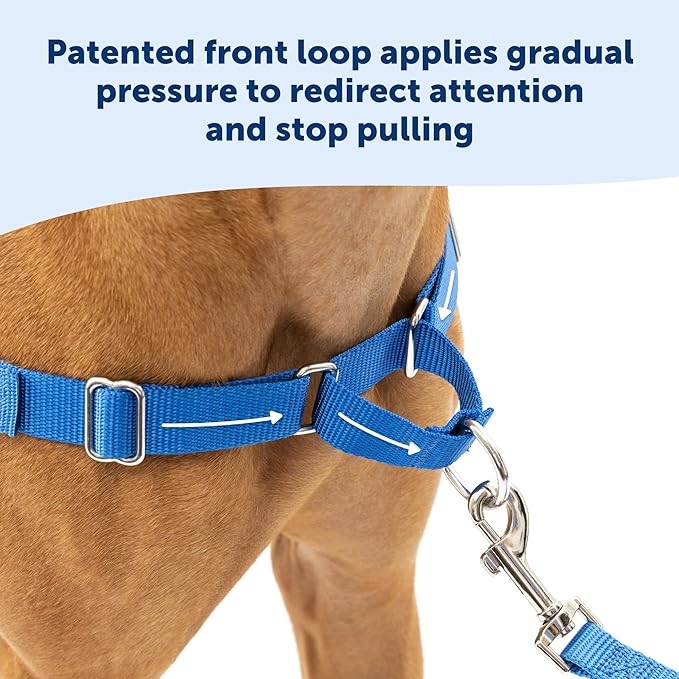 PetSafe Easy Walk Harness, No Pull Dog Harness, Royal Blue, Large | Patented Martingale Loop Gives Gradual Shoulder Pressure to Stop Pulling, Front-Chest Leash Clip Prevents Gagging