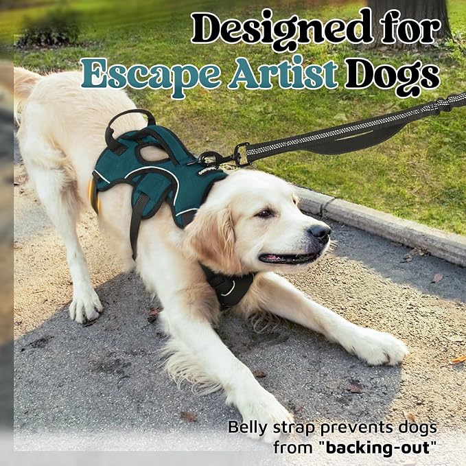 rabbitgoo Escape Proof Dog Harness for X-Large, No Pull with Lift Handle | No Escape, Full Soft Padded, Reflective Adjustable Vest, Leash Clip for Walking Hiking Training, Dark Green, X-Large