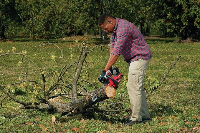 CRAFTSMAN V20 Cordless Chainsaw, 12-Inch Electric Chainsaw, Battery Powered, Battery and Charger Included (CMCCS620M1)