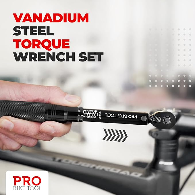 PRO BIKE TOOL Bike Torque Wrench Set - 1/4 Inch Drive, 2.2-16.9 Nm | 20-150 in-lb, Allen & Torx Bits, Extension Bar, Protective Storage Case