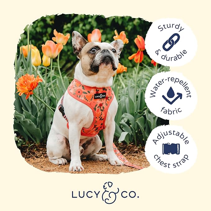 Lucy & Co. Reversible Dog Harness - Water-Repellent Neoprene, Dual-Print Design, Easy Swap Style, Adjustable Comfort Fit - Posy Pink Reversible Harness - X-Small
