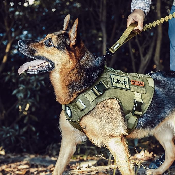 OneTigris Tactical Dog Harness, No-Pull Dog Vest with Leash Clips Green M | Dog Harness Adjustable for Hiking Training Outdoor Military 1000D Pullable Nylon, Service Dog Vest with Hook & Loop Panels