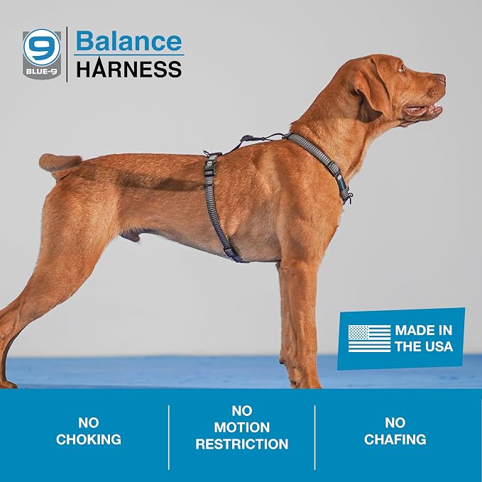 Blue-9 Reflective Buckle-Neck Balance Harness, Fully Customizable Fit No-Pull Harness with 3M Reflective Stitching, Ideal for Dog Training and Obedience, Made in The USA, Grey, Medium/Large