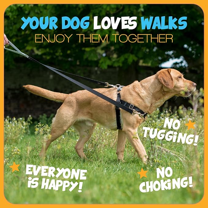 2 Hounds Design Freedom No Pull Dog Harness, 1 inch XXL, Raspberry | Discourages Pulling, Comfortable Control Adjustable Dog Harness for XXL Sized Dogs, Made in USA (Leash Not Included)