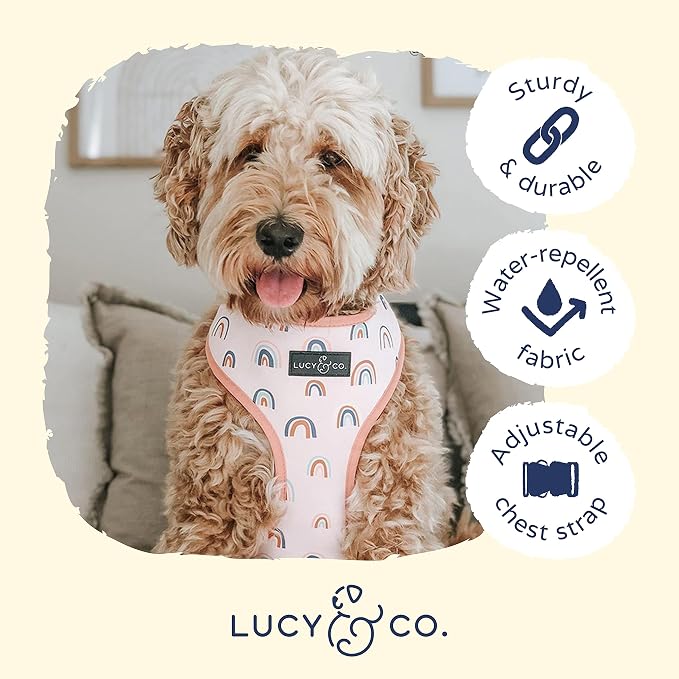 Lucy & Co. Reversible Dog Harness - Water-Repellent Neoprene, Dual-Print Design, Easy Swap Style, Adjustable Comfort Fit - in the Clouds Reversible Harness - X-Small