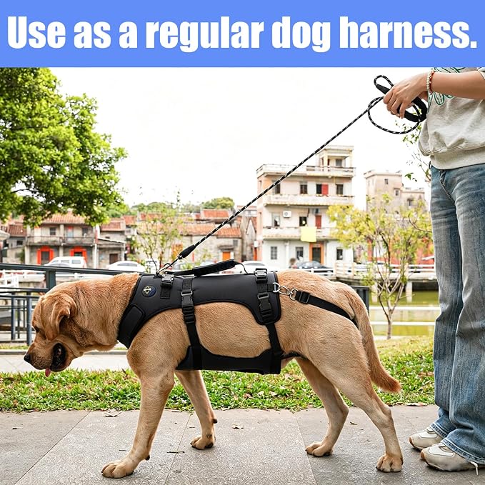COODEO Dog Lift Harness for Large Dogs, Full Body Support Mobility Aid for Senior Dogs, Adjustable Help for Weak Hind Legs, Arthritis, Stairs & Cars(Black,XXL)