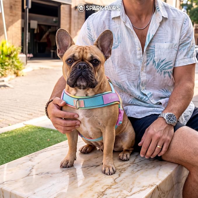 Spark Paws No Pull Front Clip Dog Harness - Easy On, Padded and Lightweight | Two Clips, On in Seconds, Chest Bearing, Australian Style, No Throat Pressure, for Small Medium and Large Breeds