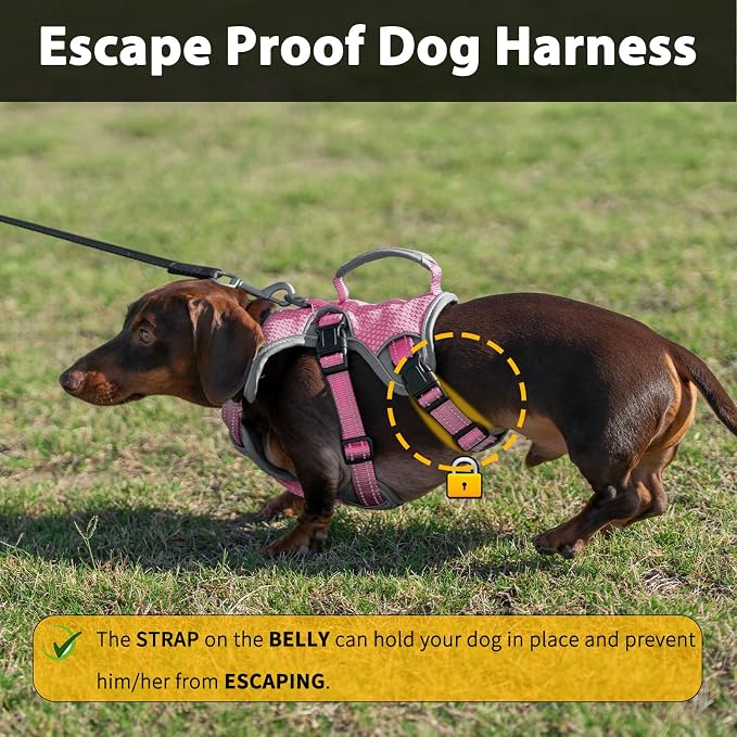 Escape Proof Dog Harness, Dachshund Harness, Reflective Dog Harness with Handle, Durable,Adjustable Vest for Small Medium Large Dogs Walking, Training, and Running Gear (Pink,S)