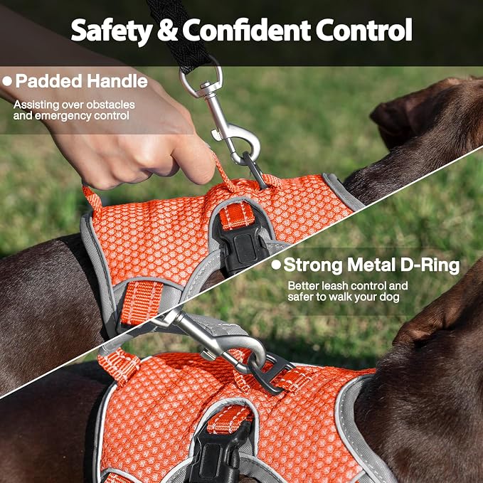 Escape Proof Dog Harness, Dachshund Harness, Reflective Dog Harness with Handle, Durable,Adjustable Vest for Small Medium Large Dogs Walking, Training, and Running Gear (Orange,XL)