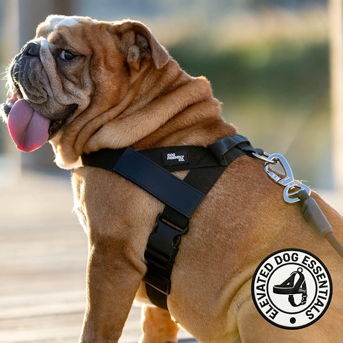 Dog Friendly Co. Dog Harness for Large Dogs (Black, Large) | One Click Buckle, Chafe Resistant Webbing, Adjustable Neck & Chest, and Heavy Duty D-Ring, Sturdy Comfortable and Easy to Use