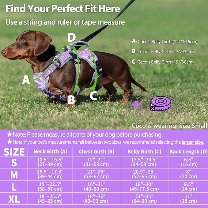 Escape Proof Dog Harness, Dachshund Harness, Reflective Dog Harness with Handle, Durable,Adjustable Vest for Small Medium Large Dogs Walking, Training, and Running Gear (Lavender Purple,XL)