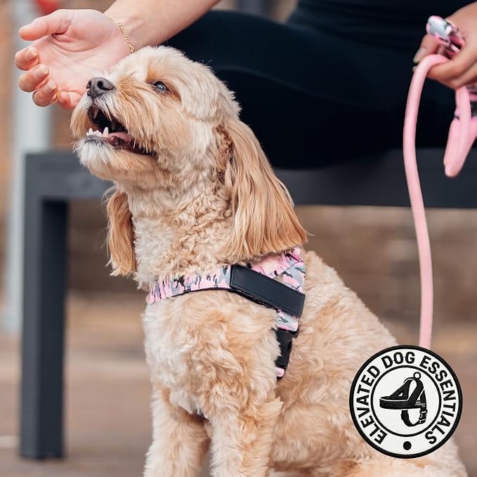 Dog Friendly Co. Dog Harness for Large Dogs (Pink Camo, Extra Large) | One Click Buckle, Chafe Resistant Webbing, Adjustable Neck & Chest, and Heavy Duty D-Ring, Sturdy Comfortable and Easy to Use