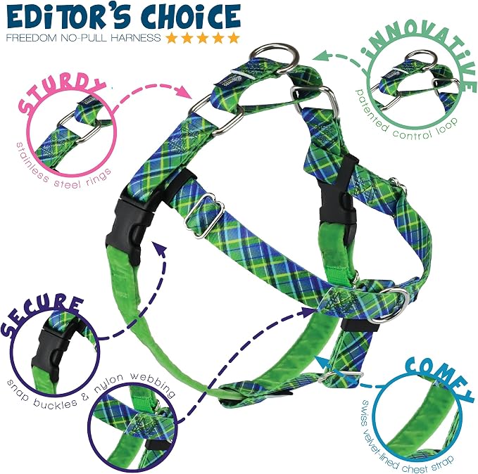 2 Hounds Design - Freedom No-Pull Harness & Training Leash in Green and Blue | Dual Leash Loops, No Pulling on Walks | Lined to Prevent Chaffing | for Small Sized Dogs (Size S, Chest 20”- 24”)