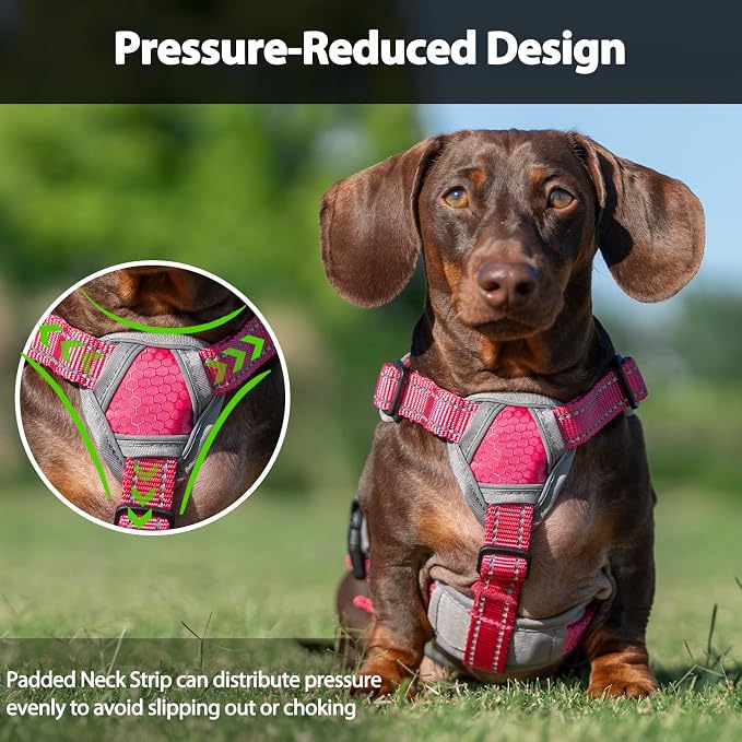 Escape Proof Dog Harness, Dachshund Harness, Reflective Dog Harness with Handle, Durable,Adjustable Vest for Small Medium Large Dogs Walking, Training, and Running Gear (Rose red,M)