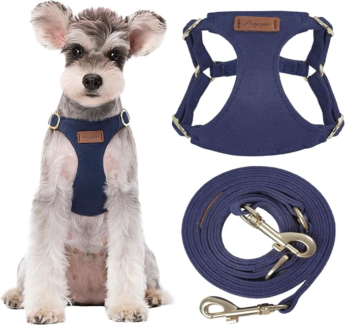 Puppytie Dog Harness and Leash Set, Navy, M (16.5-31 lbs) | Harness Small Size Dog, Dog Leash for Small Dogs, Soft Lightweight and Adjustable, Small Dog Harness for Daily Walks