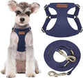 Puppytie Small Dog Harness and Leash Set, Navy, S (9-17.5 lbs) | Dog Harness Small Sized Dog, Dog Leash for Small Dogs, Soft and Lightweight, Puppytie Dog Harness for Daily Walks