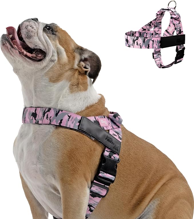 Dog Friendly Co. Dog Harness for Large Dogs (Pink Camo, Large) | One Click Buckle, Chafe Resistant Webbing, Adjustable Neck & Chest, and Heavy Duty D-Ring, Sturdy Comfortable and Easy to Use