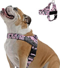 Dog Friendly Co. Dog Harness for Large Dogs (Pink Camo, Large) | One Click Buckle, Chafe Resistant Webbing, Adjustable Neck & Chest, and Heavy Duty D-Ring, Sturdy Comfortable and Easy to Use