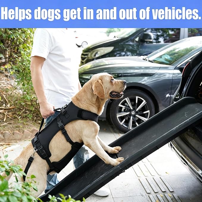 COODEO Dog Lift Harness for Large Dogs, Full Body Support Mobility Aid for Senior Dogs, Adjustable Help for Weak Hind Legs, Arthritis, Stairs & Cars(Black,XXL)