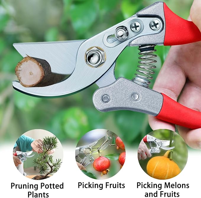 Kynup 8.6" Pruning Shears for Gardening, Garden Shears, Clippers, Garden Scissors, Pruners for Gardening, Heavy Duty Gardening Tools, Stainless Steel Pruners