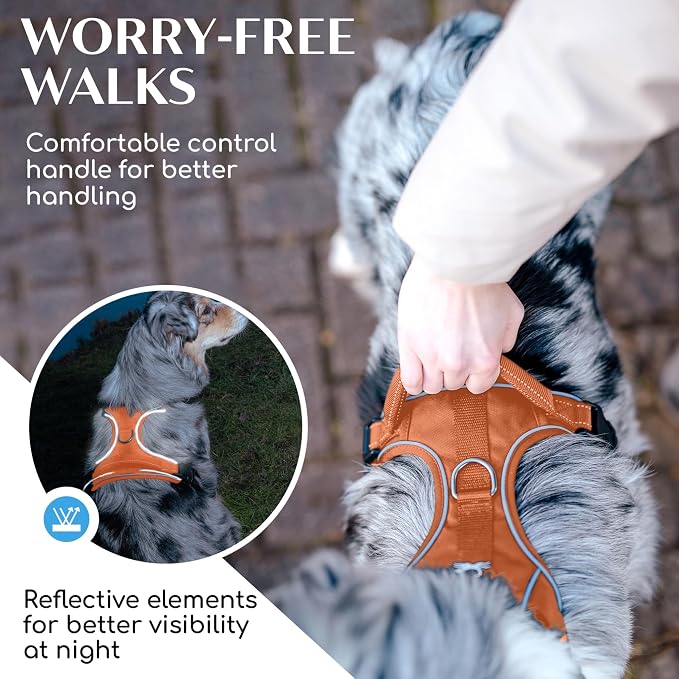 Freudentier No Pull Dog Harness with Handle, Front & Back Clips, Reflective | Soft breathable mesh padding - perfect fit with no chafing or slipping - comfortable dog vest for small, medium & large dogs