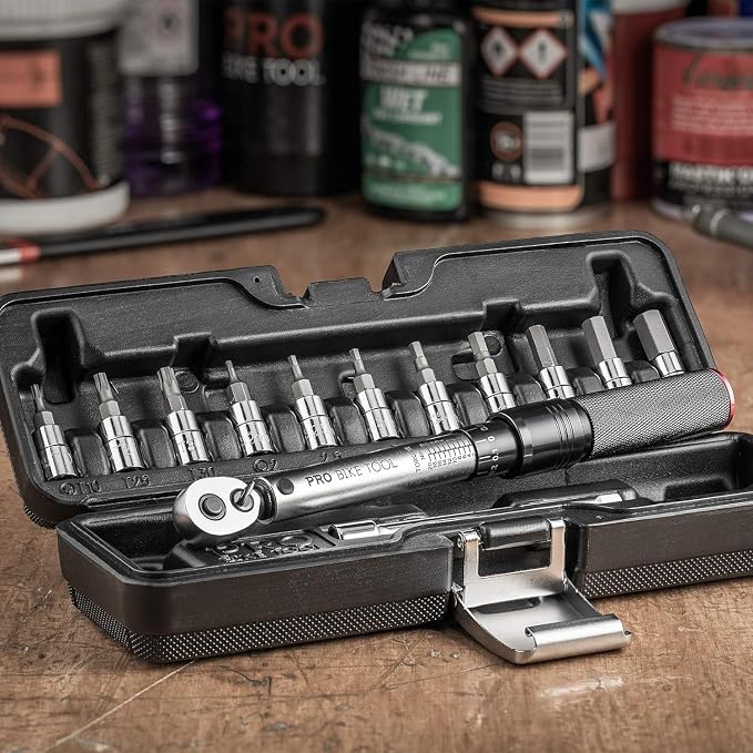 PRO BIKE TOOL Bike Torque Wrench Set - 1/4 Inch Drive, 2.2-16.9 Nm | 20-150 in-lb, Allen & Torx Bits, Extension Bar, Protective Storage Case