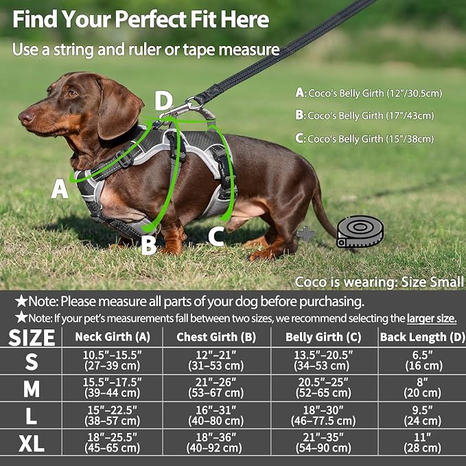 Escape Proof Dog Harness, Dachshund Harness, Reflective Dog Harness with Handle, Durable,Adjustable Vest for Small Medium Large Dogs Walking, Training, and Running Gear (Black,L)